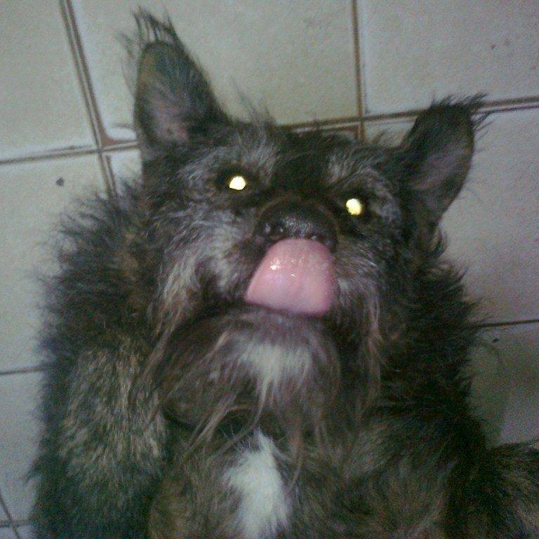 Foto 1